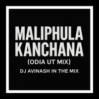Maliphula Kanchana l Odia Ut Mix l Dj Avinash In The Mix.mp3