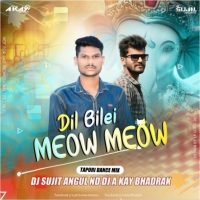 Dil Bilei Meow Meow (Tapori Dance Mix) DJ Sujit Nd DJ A Kay Bhadrak.mp3