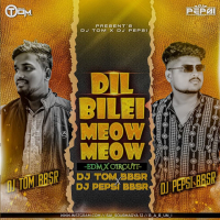 Dil Bilei Meow Meow ( Edm X Circuit ) Dj Pepsi Bbsr X Dj Tom Bbsr.mp3