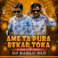 Ame Ta Pura Bekar Toka (Edm X Circuit Tapori Mix) Dj Bablu Bls.mp3