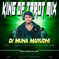 Meri Jaan Hai Radha (Tapori Trrot Mix) DJ Muna Marudhi.mp3