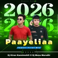 Payaliya (Tapori Trrot Mix) DJ Muna Marudhi X DJ Kiran Kanimahuli.mp3