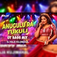 Anugul Ra Tukuli (Ut Bass Mix) Dj Raja Kujimahal.mp3
