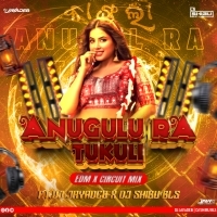 ANUGULU RA TUKULI (EDM X CIRCUIT MIX) Ft.DJ JAYADEB X DJ SHIBU BLS.mp3