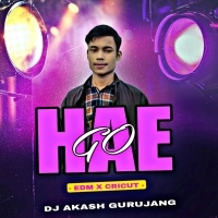 Hae Go Sambalpuri Viral Song (Edm x Cricut) Dj Akash Gurujang .mp3