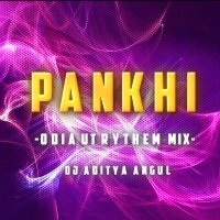 PANKHI (ODIA UT DANCE ) DJ ADITYA ANGUL.mp3