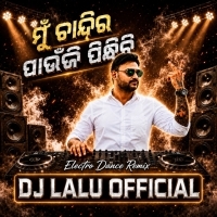 Mu Chandira Paunji Pindhichi (Electro Dance Remix) DJ Lalu Official.mp3