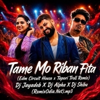 Tame Mo Riban Fita Demo (Edm Circuit House x Tapori Troll Remix) Dj Jayadeb X Dj Alpha Jajpur X Dj Shibu Bls.mp3