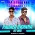 PAGALA BHANRA RAMA RAMA RE (DANCE MIX) DJ BABUL ND DJ BANTY