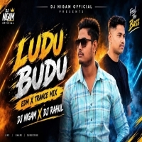 LUDU BUDU (EDM X TRANCE TAPORI)DJ RAHUL X DJ NIGAM.mp3