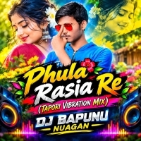 Phula Rasia Re (Tapori Vibrtion Mix) Dj Bapunu Nuagan.mp3