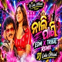Nali Pani Ft. Papu Pom Pom (Edm X Tribal) Dj Lalu Official .mp3